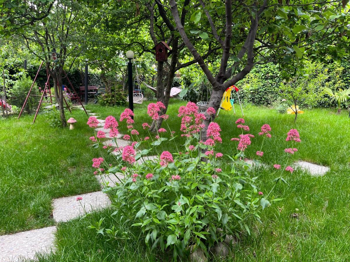Guest House Poligloti Telavi Exterior photo