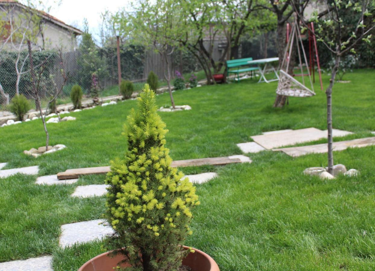 Guest House Poligloti Telavi Exterior photo