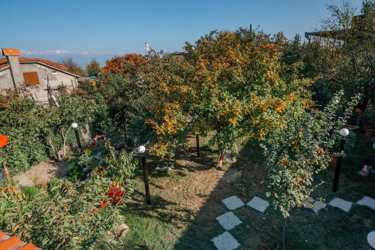 Guest House Poligloti Telavi Exterior photo